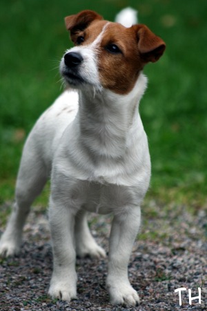 080914 Arska2.JPG - Arsu Arska